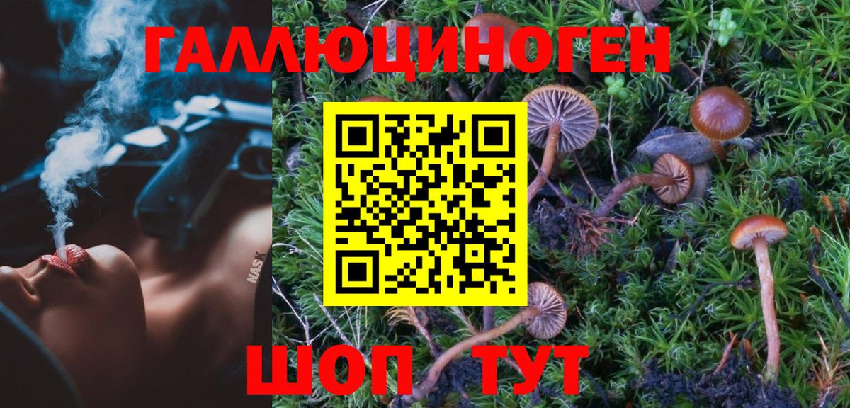 Галлюциногенные грибы Cubensis Саянск