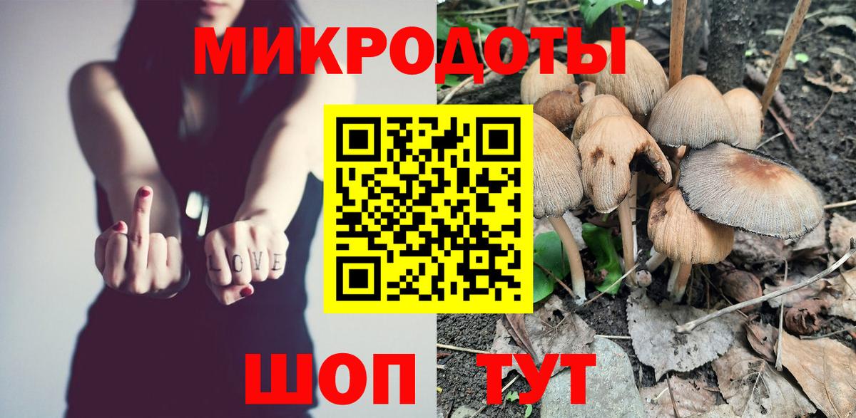 Саянск  Галлюциногенные грибы Cubensis  Вход с VPN 